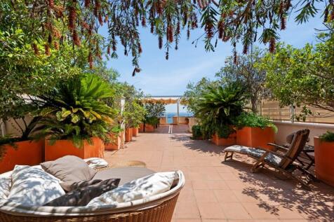 Root Terrace (1)