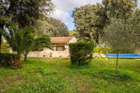 Garden (2)