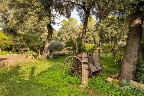 Garden (3)