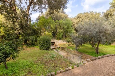 Garden (1)