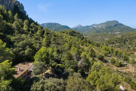 Aerial (1)