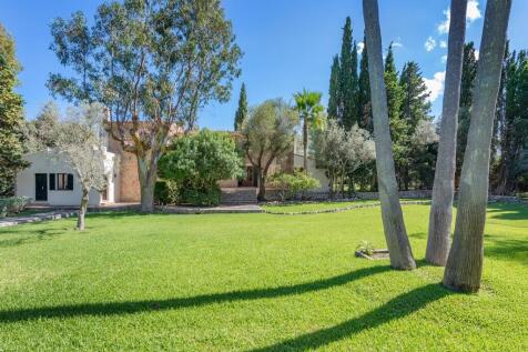 Garden (1)