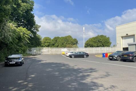 IMG_2453.jpeg