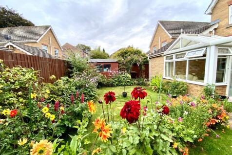 Property Image 4