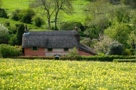 Cowslips Client image.jpg