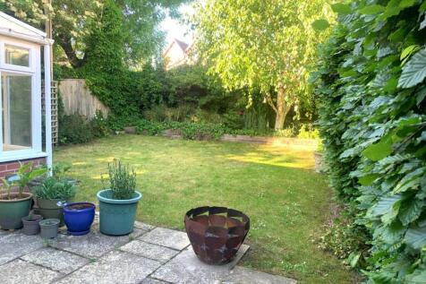 Tillside Garden.jpg