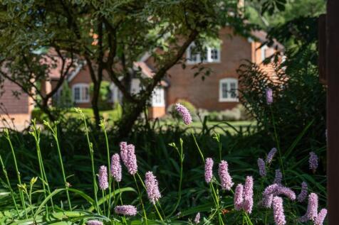 Below Star Cottage-41.jpg