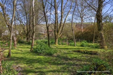 Broad Chalke Woodland Marked Up 3.JPG