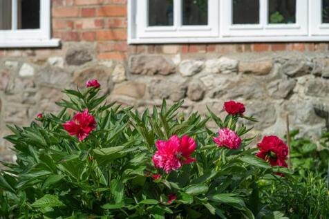 Meadow Cottage-38.jpg