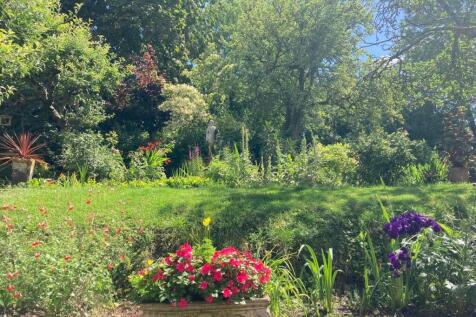 garden - client photo.jpg