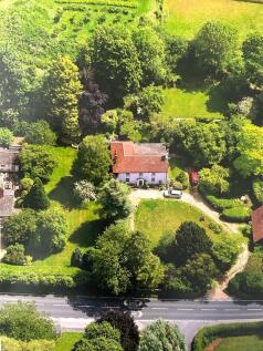 aerial shot.jpg
