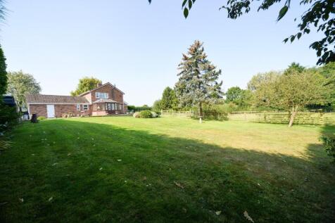 View of house and garden.jpg