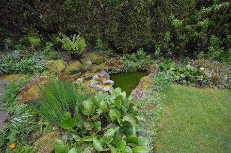 Pond.jpg