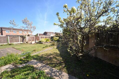 Garden 1.jpg