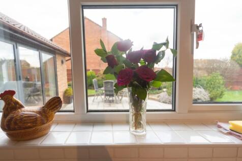 Window