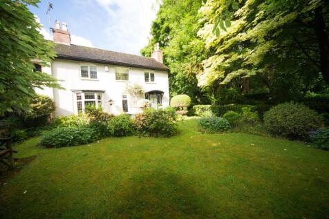 Front garden to house.jpg