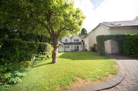 Lawn and house.jpg