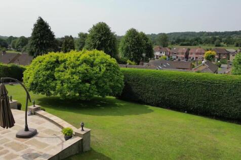 view from terracejpg