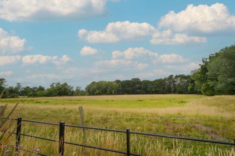 DSC_0770.JPG