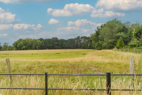 DSC_0772.JPG