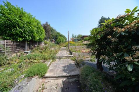 Garden.jpg