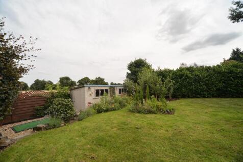 Bottom of garden.jpg