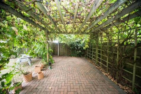 Pergola with vine.jpg