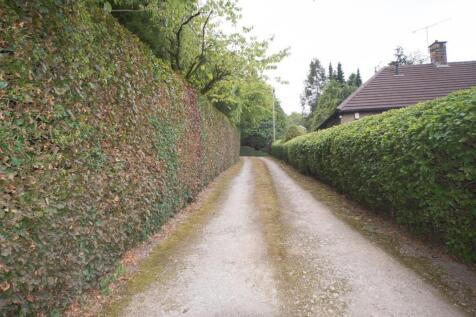 Drive to paddock.jpg