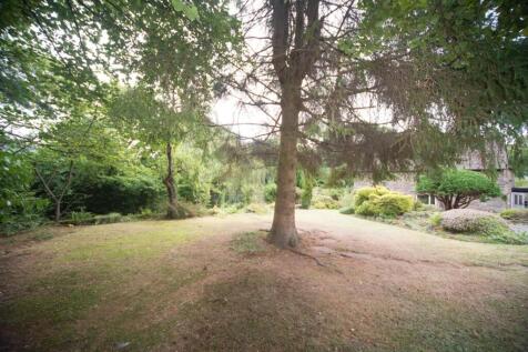 Front lawn.jpg