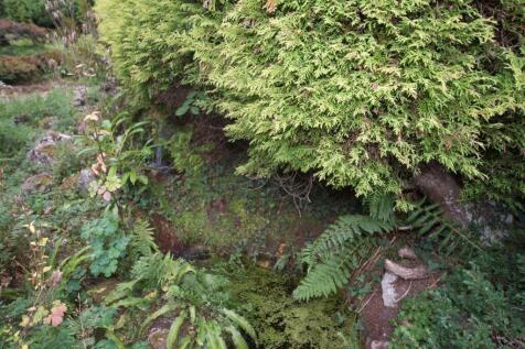 waterfall in pond.jpg