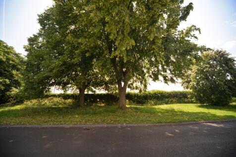 View across the road.jpg