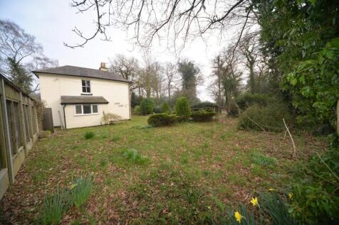 Side garden and drive.jpg