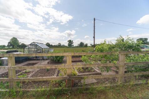 Kitchen garden .JPG