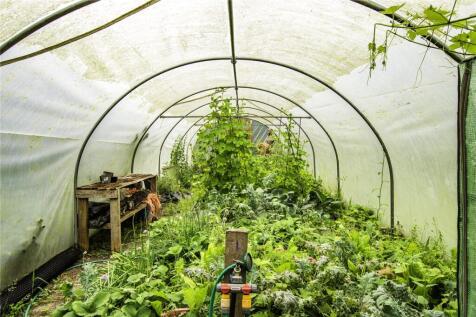 Polytunnel Interior