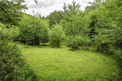 Field and Woodland