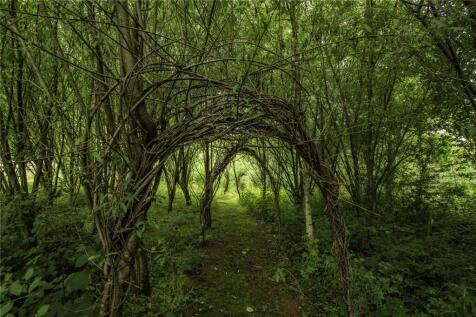 Willow Dome Path