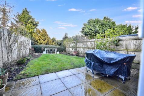 garden (2).jpeg