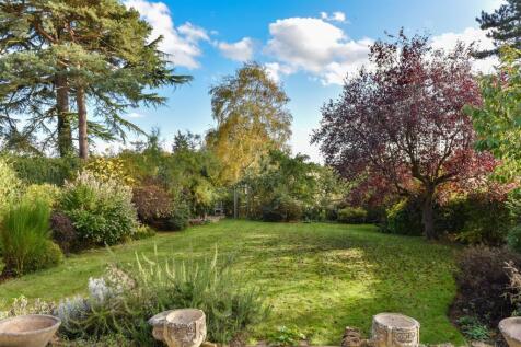 garden.jpg