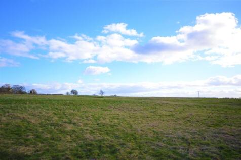 DSC_0169.JPG