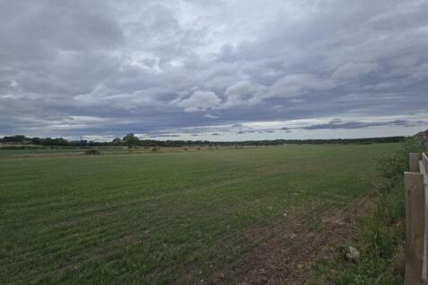 Photo 37