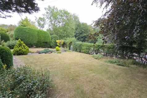 Side Garden