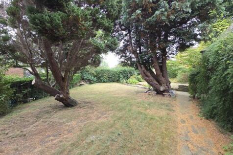 Side Garden 
