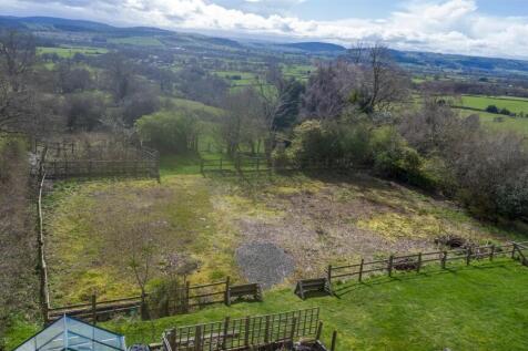DJI_0137.jpg
