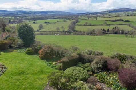 DJI_0135.jpg
