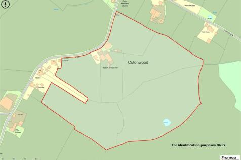 Promap-2939738-3039371-750-0.jpg