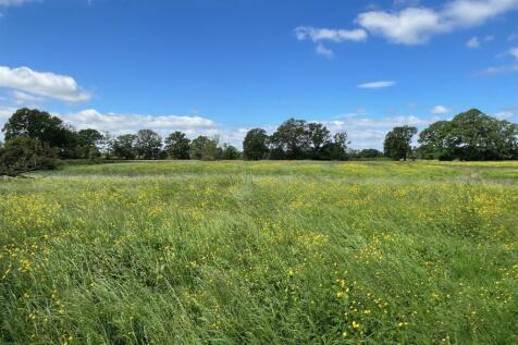 Larger field 3.jpg
