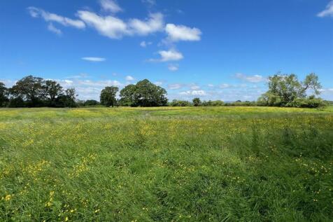 Larger field 4.jpg