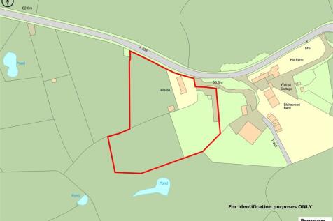 Promap-2871123-2973151-750-0.jpg