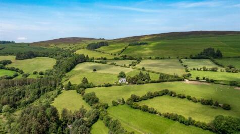DJI_0119.jpg