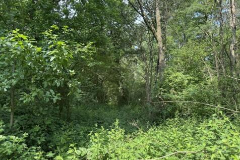 IMG_0880.JPEG